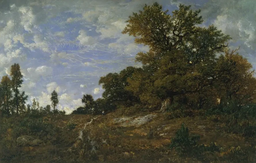 The Edge of the Woods at Monts - Girard, Fontainebleau Forest