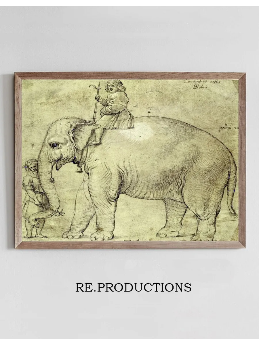 The Elephant Hanno
