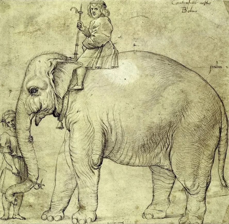 The Elephant Hanno