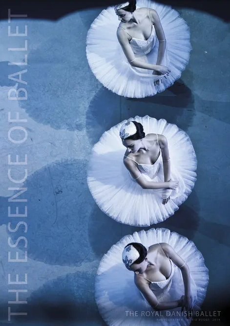 The Essence of Ballet 5