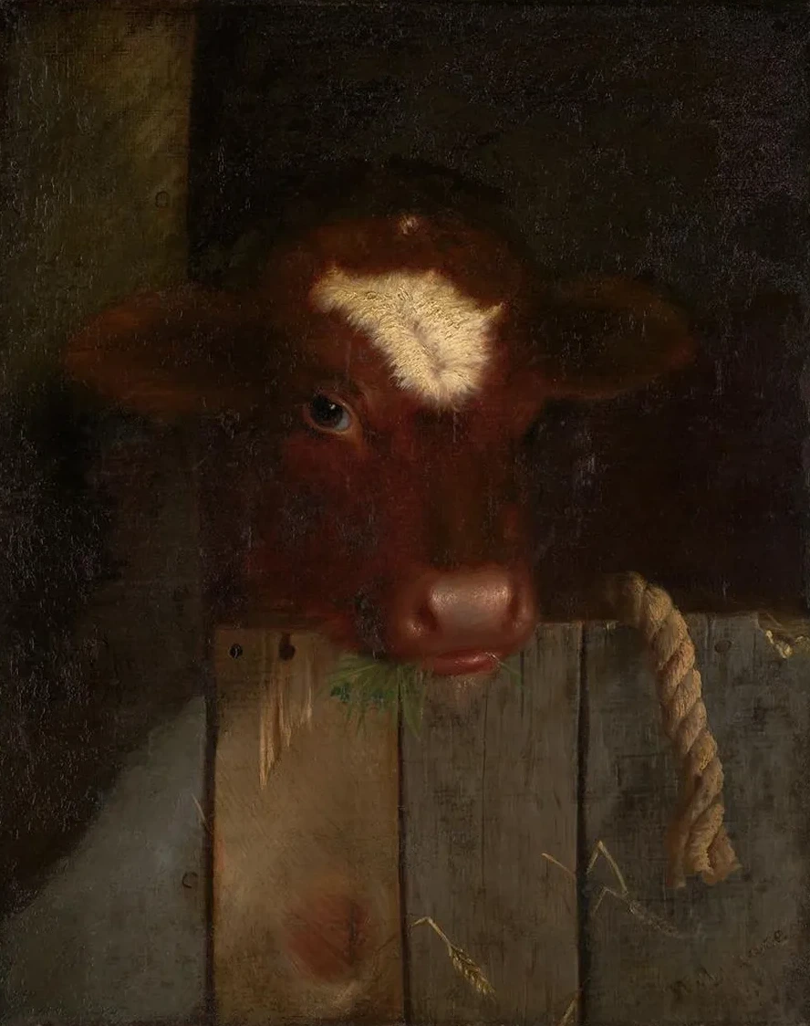 The Family Cow (Calf's Head)