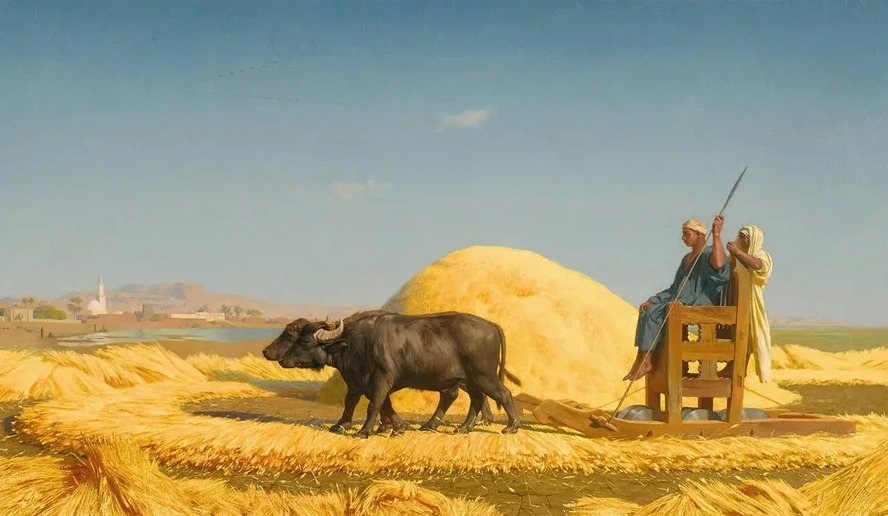 The Grain Threshers, Egypt