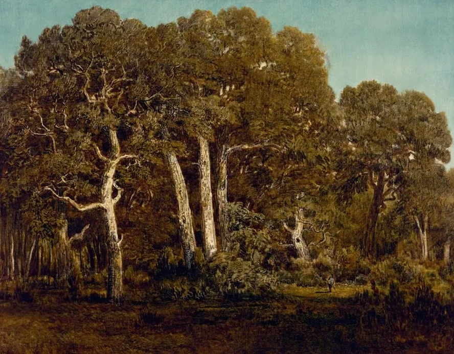 The Great Oaks of Old Bas - Br au