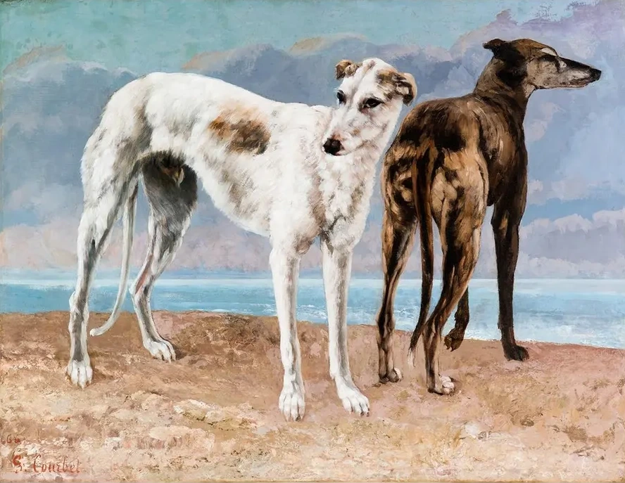 The Greyhounds of the Comte de Choiseul