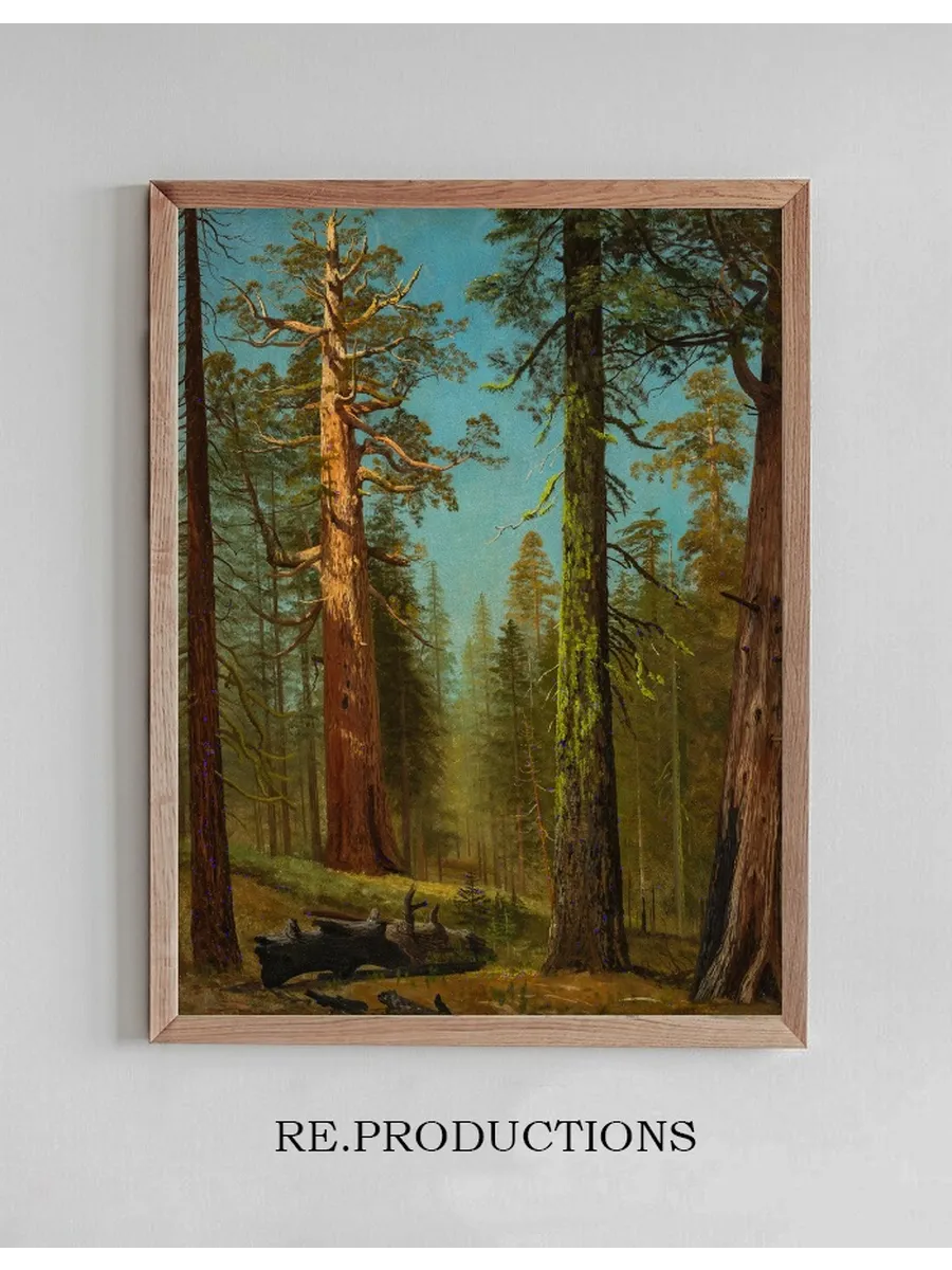The Grizzly Giant Sequoia, Mariposa Grove, California