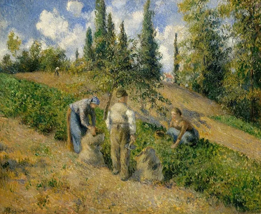 The Harvest, Pontoise (La R colte, Pontoise)