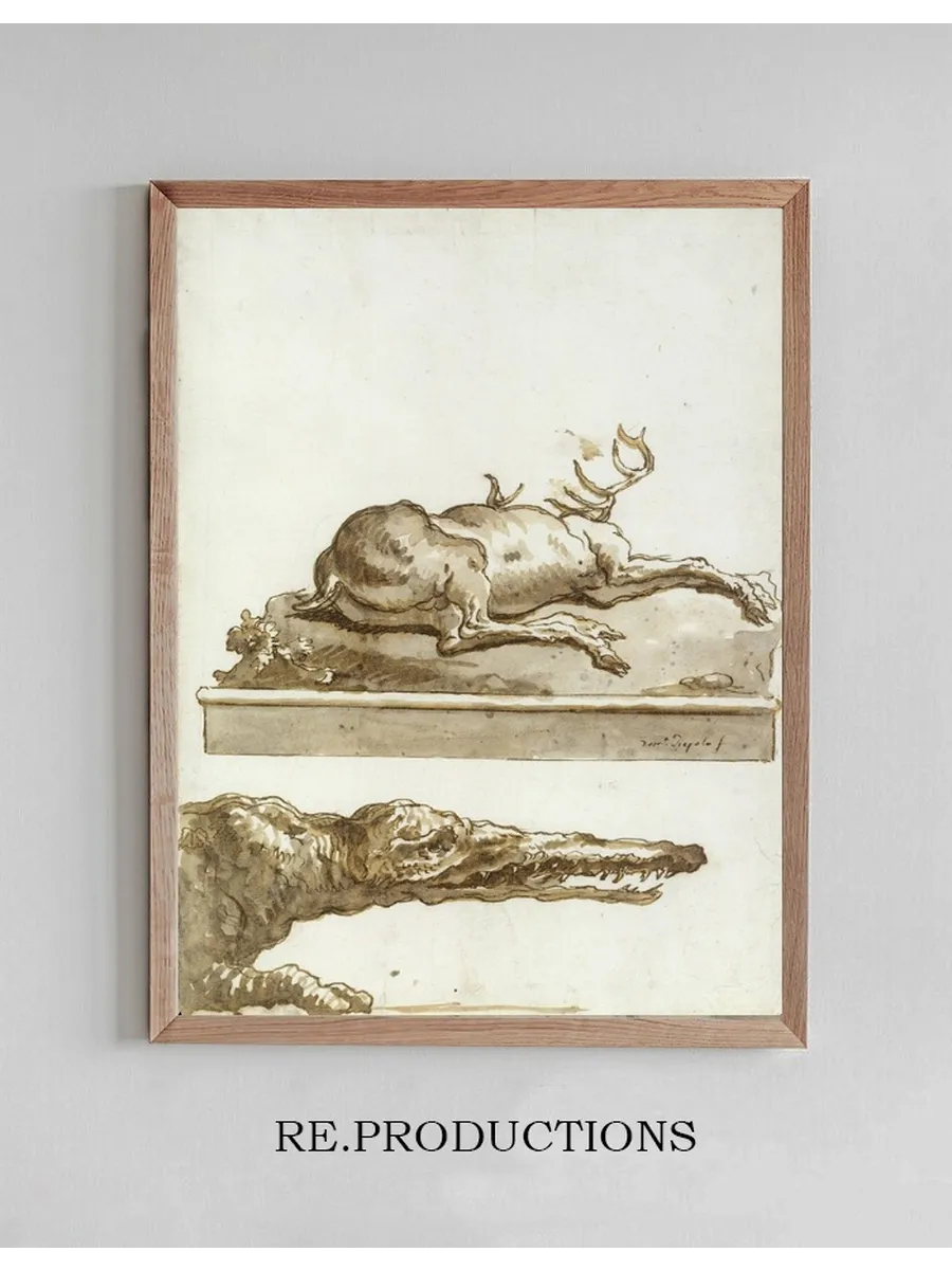 The Head of a Crocodile