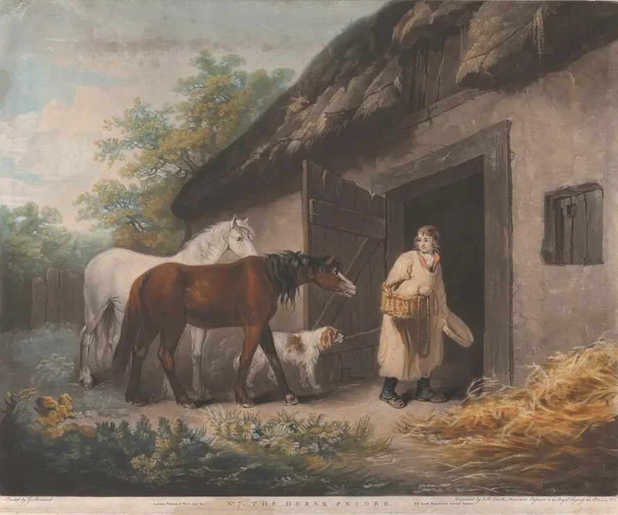 The Horse Feeder