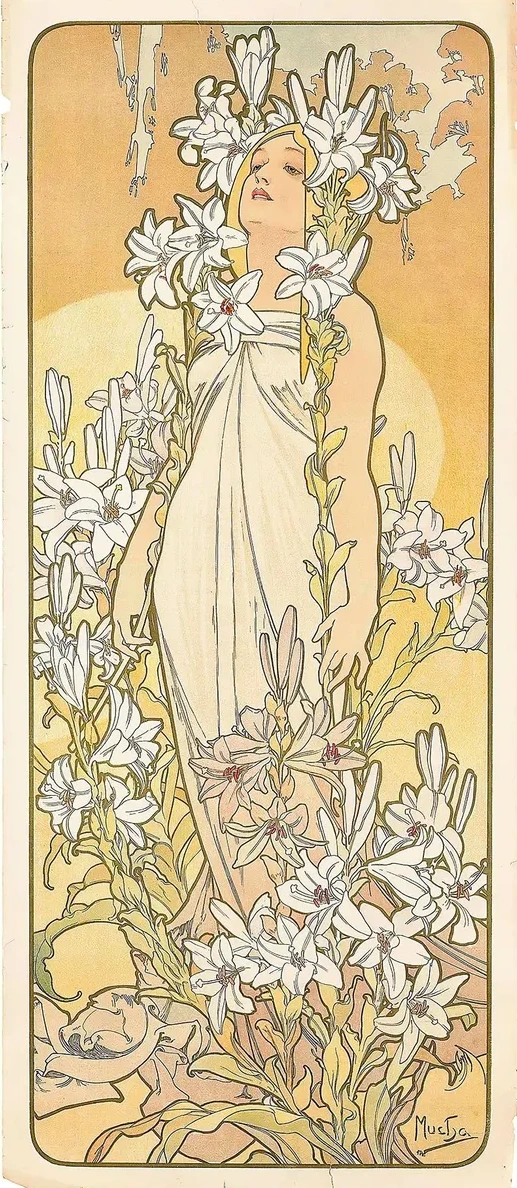 The Lily