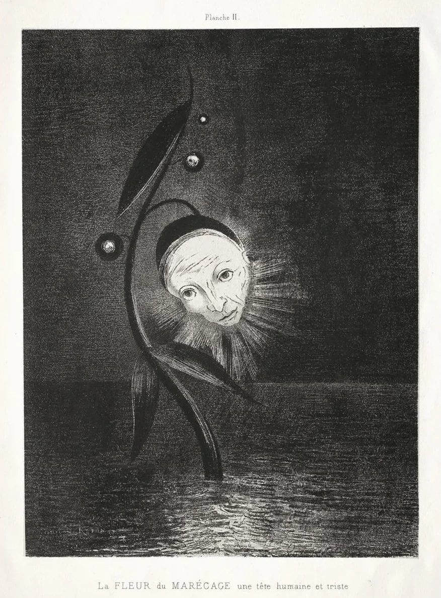 The Marsh Flower, a Sad Human Head