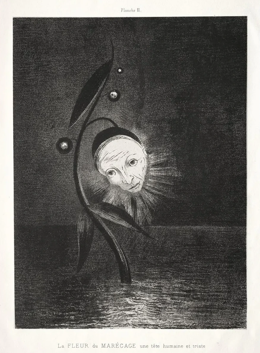 The Marsh Flower, a Sad Human Head