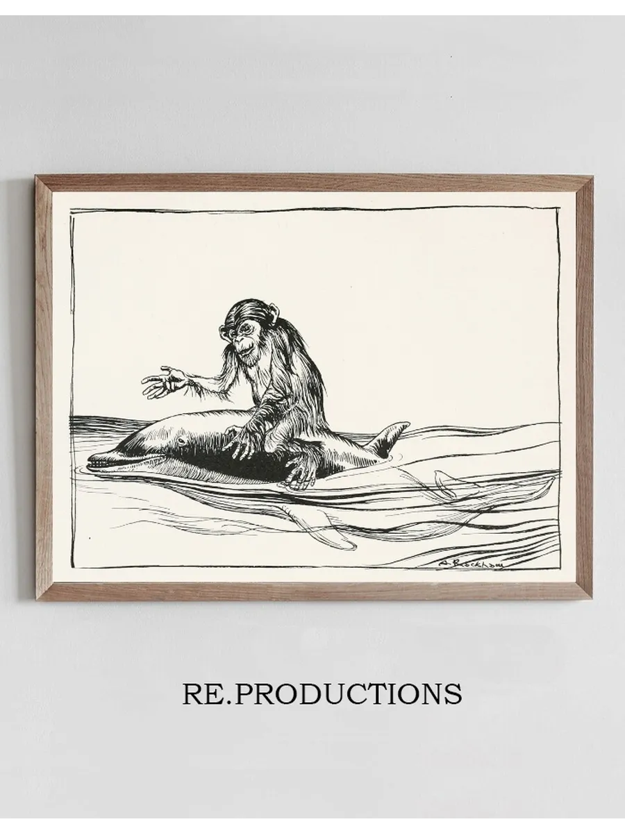 The Monkey and the Dolphin