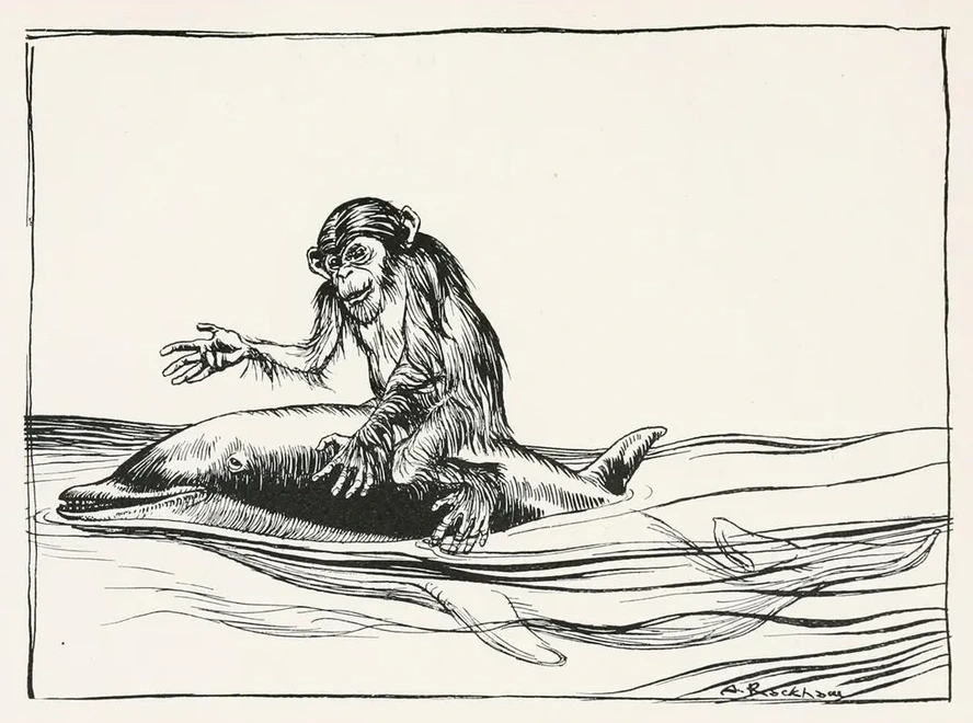 The Monkey and the Dolphin
