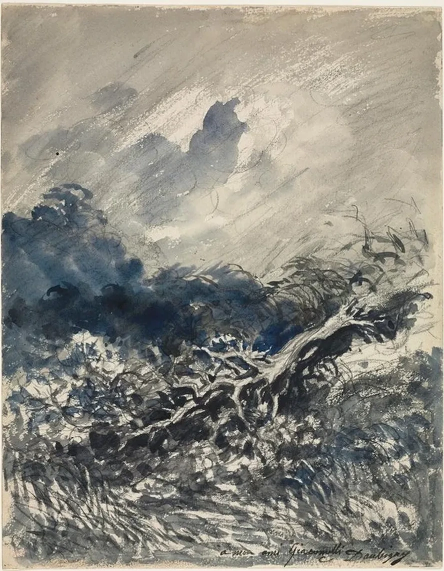 The Oak Tree and the Reed