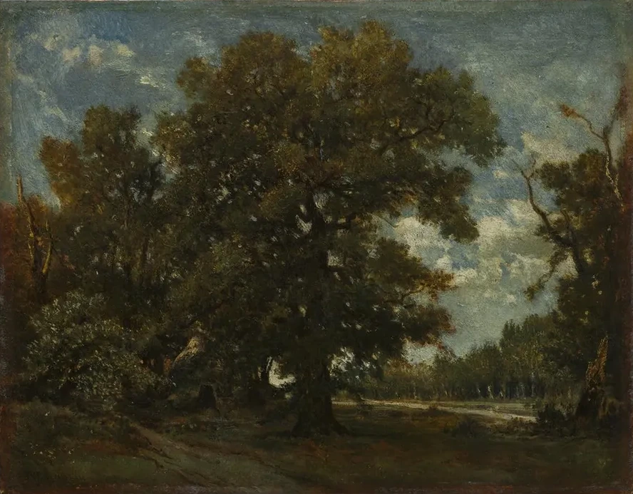 The Oak Tree