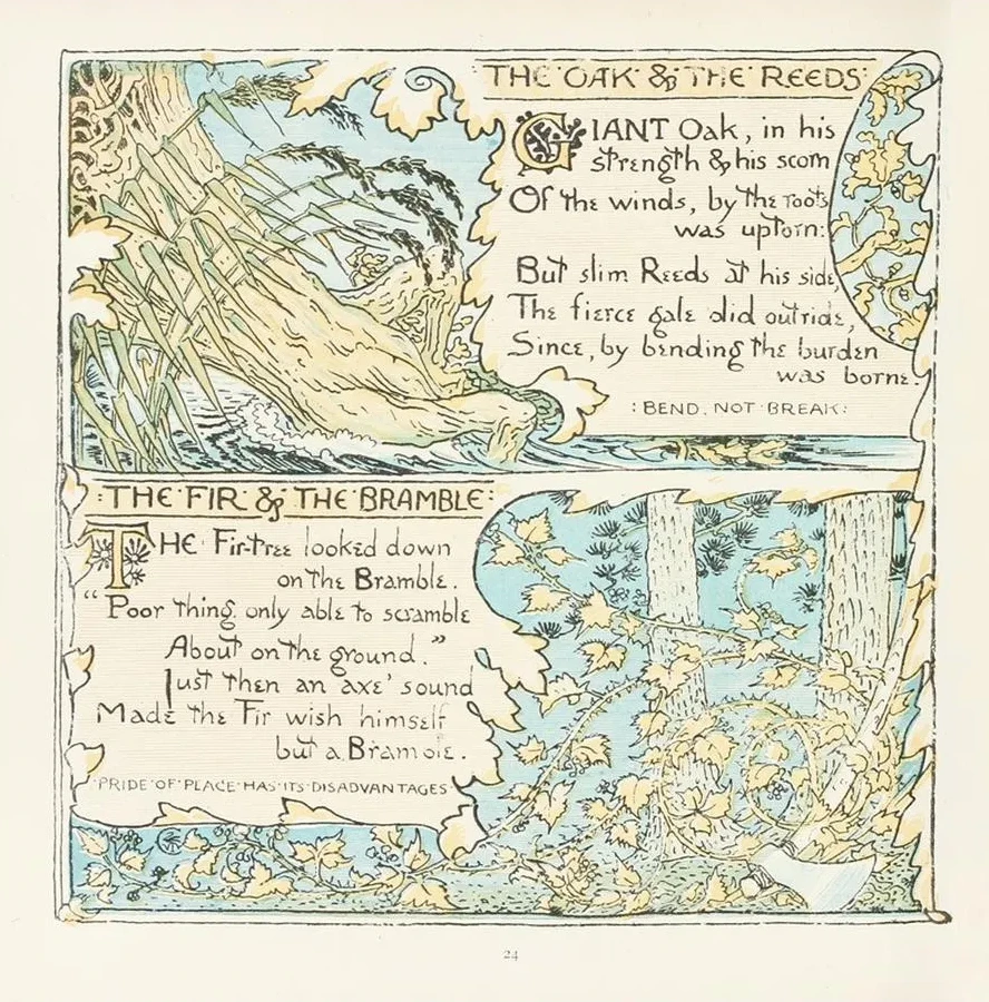 The Oak and the Reeds, The Fir and the Bramble