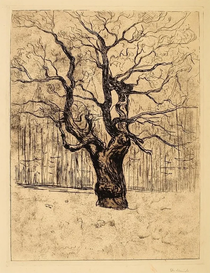 The Oak