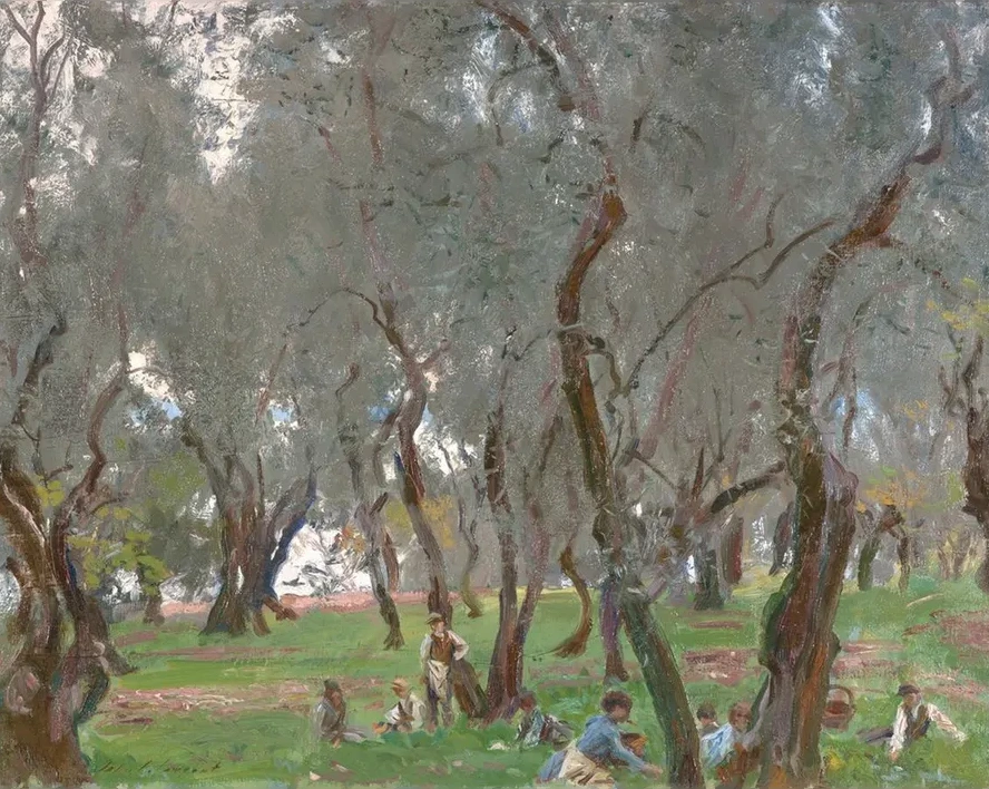 The Olive Grove