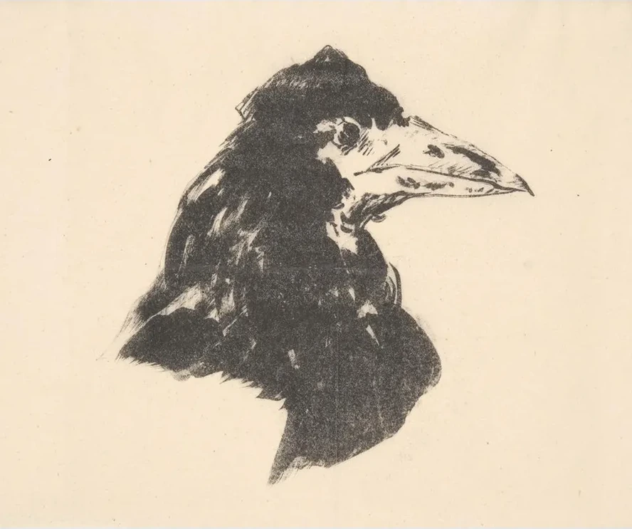 The Raven (le Corbeau) Design for the Cover