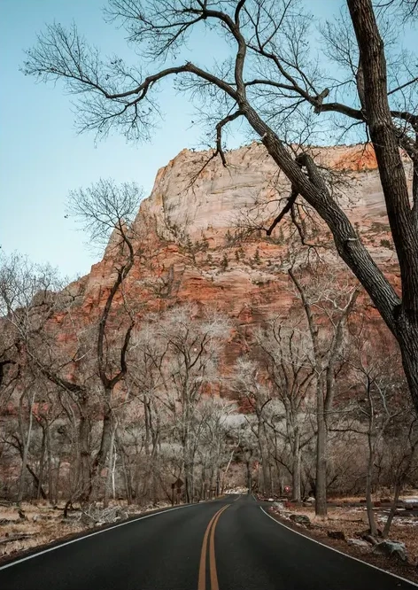The Road through Zion National Park