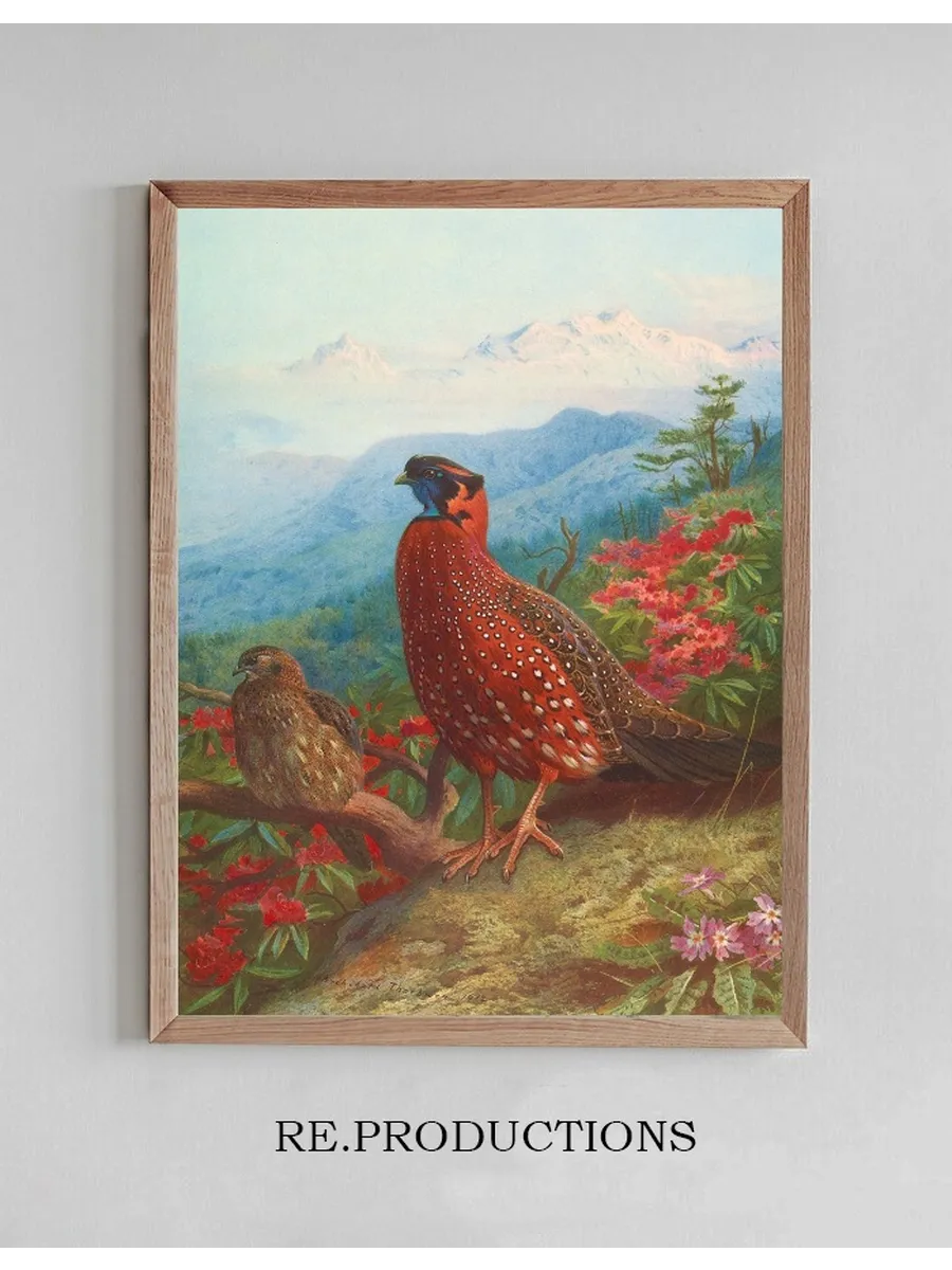 The Satyr Tragopan