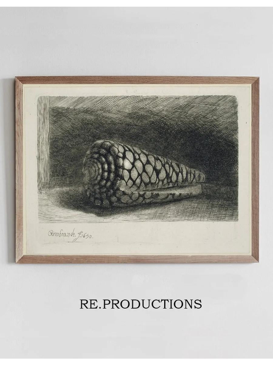 The Shell