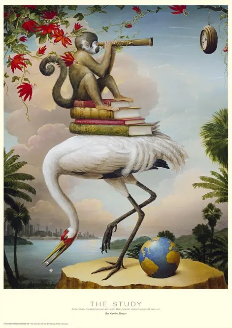 The Study