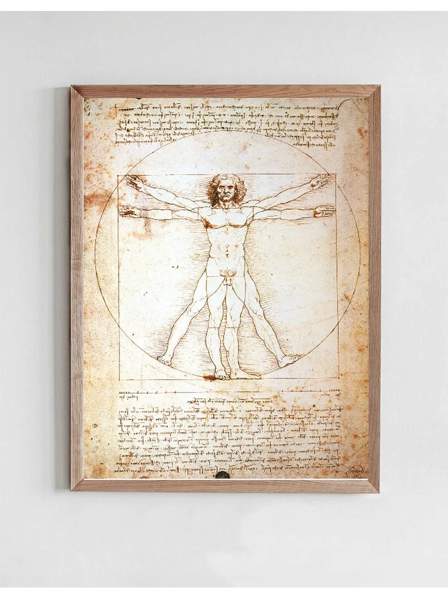 The Vitruvian Man