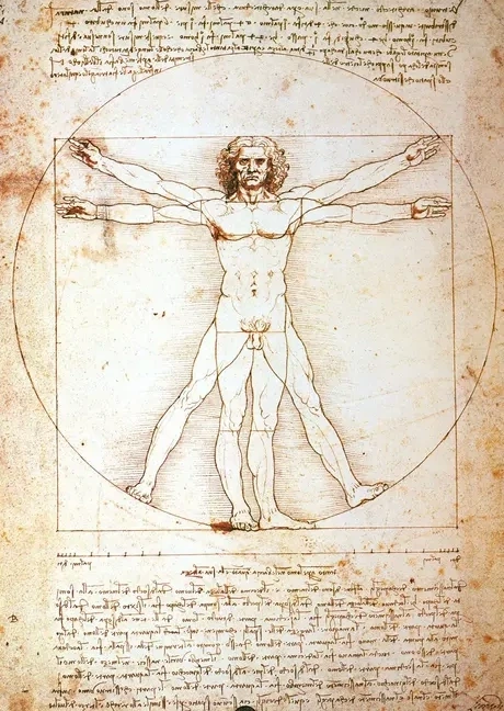 The Vitruvian Man