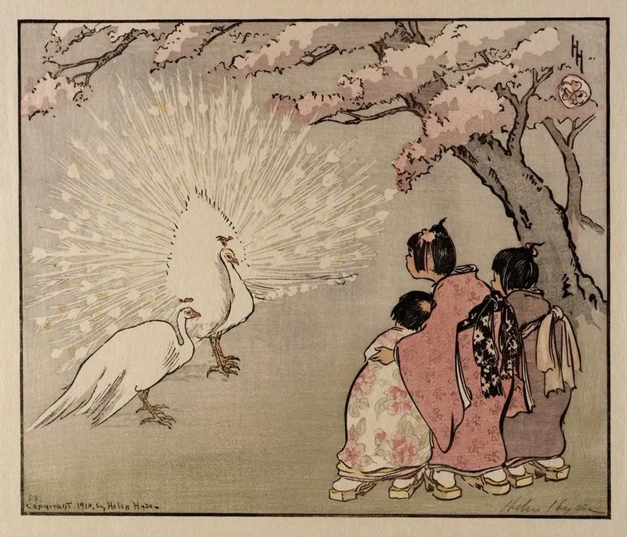 The White Peacock