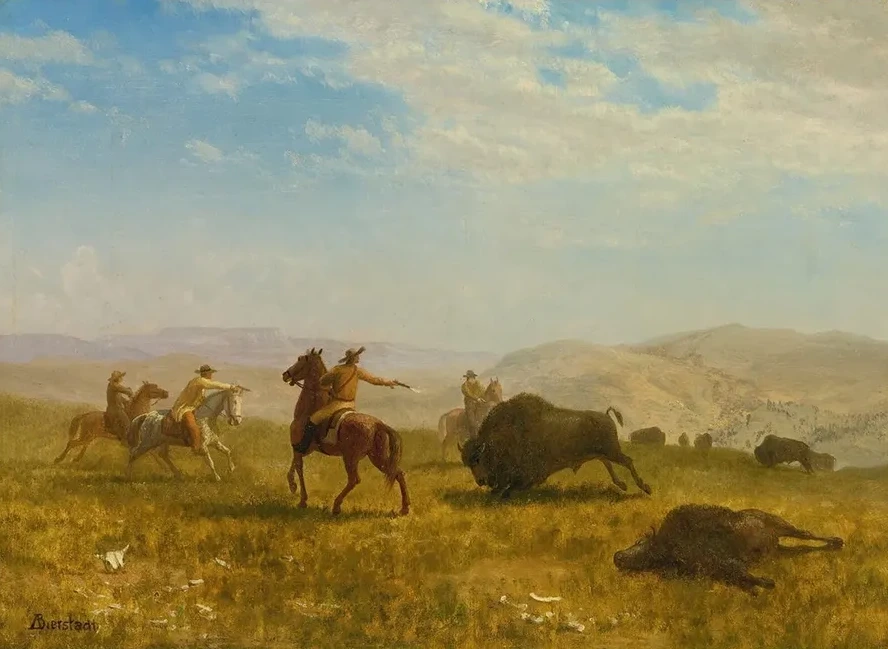 The Wild West
