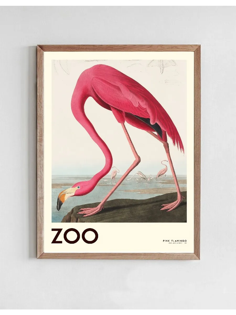 The Zoo Collection Pink Flamingo Edt. 001