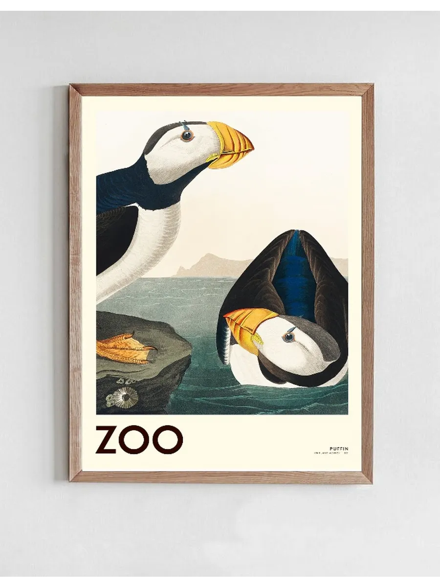 The Zoo Collection Puffin Edt. 001