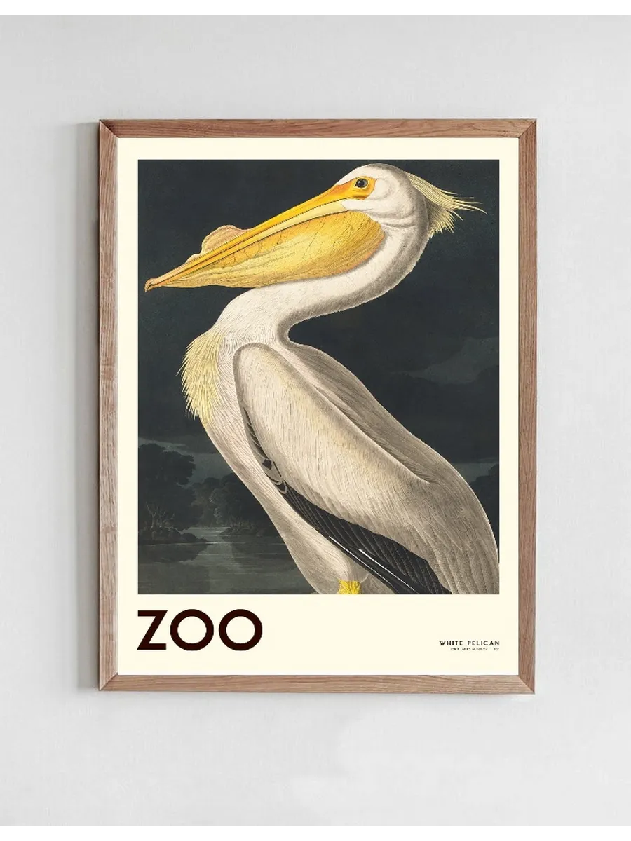 The Zoo Collection White Pelican Edt. 001