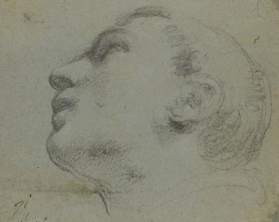 The Head of a Man Turned to the Left