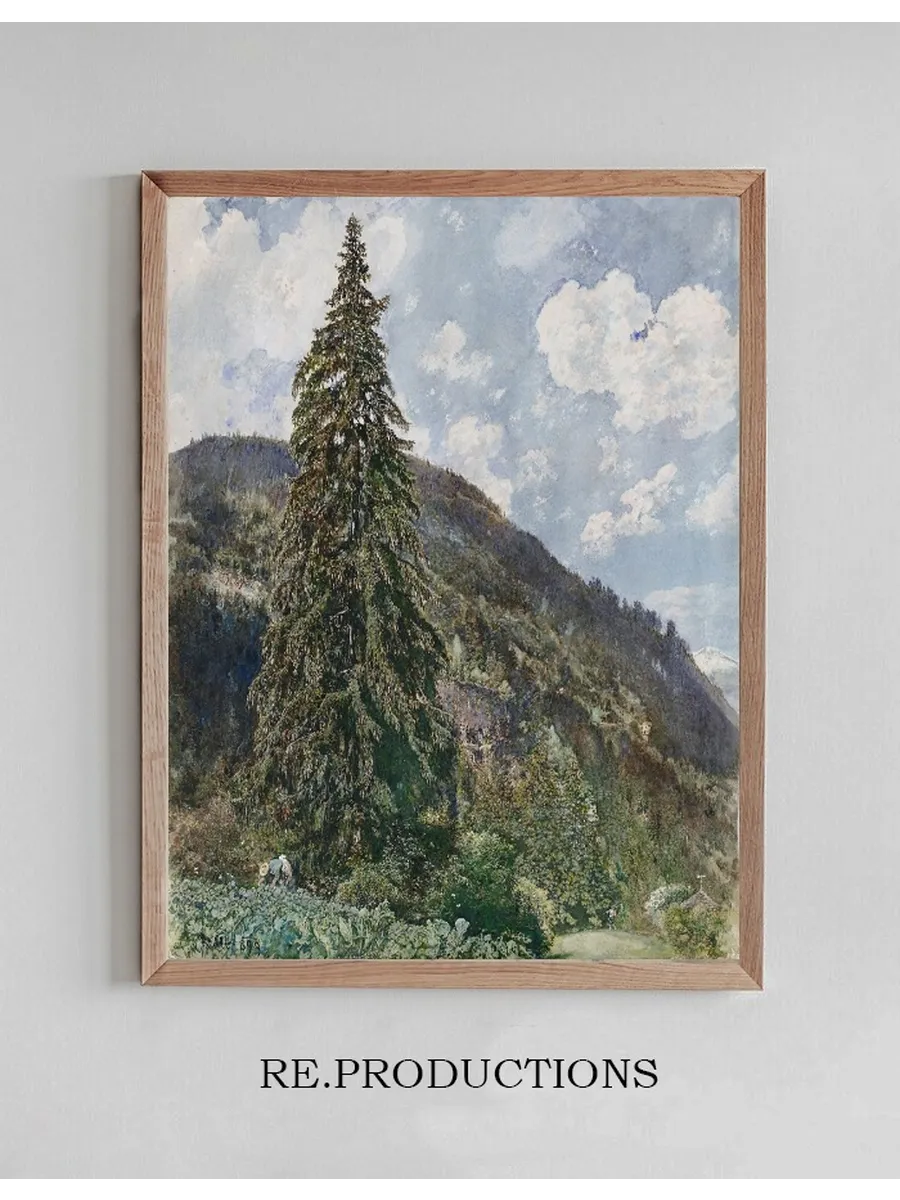 The old Spruce in Bad Gastein