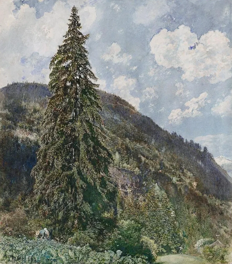 The old Spruce in Bad Gastein