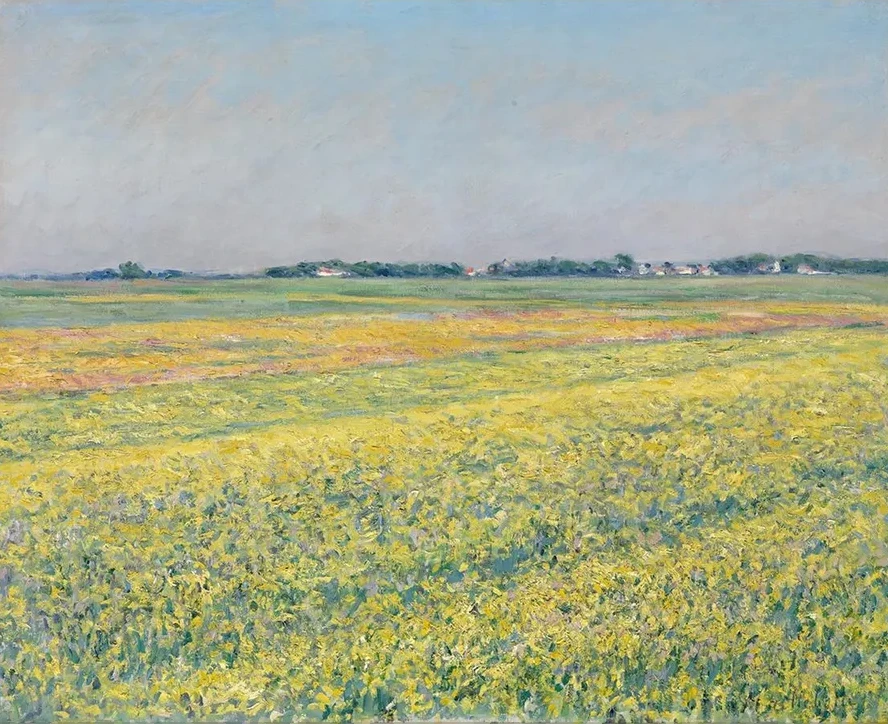 The Plain of Gennevilliers, Yellow Fields