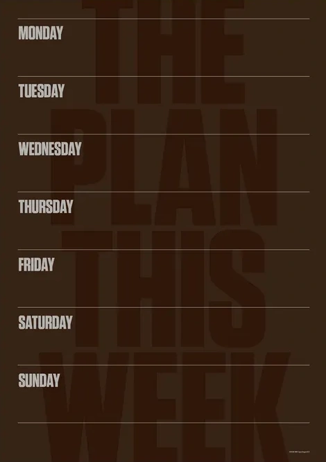 The Plan This Week