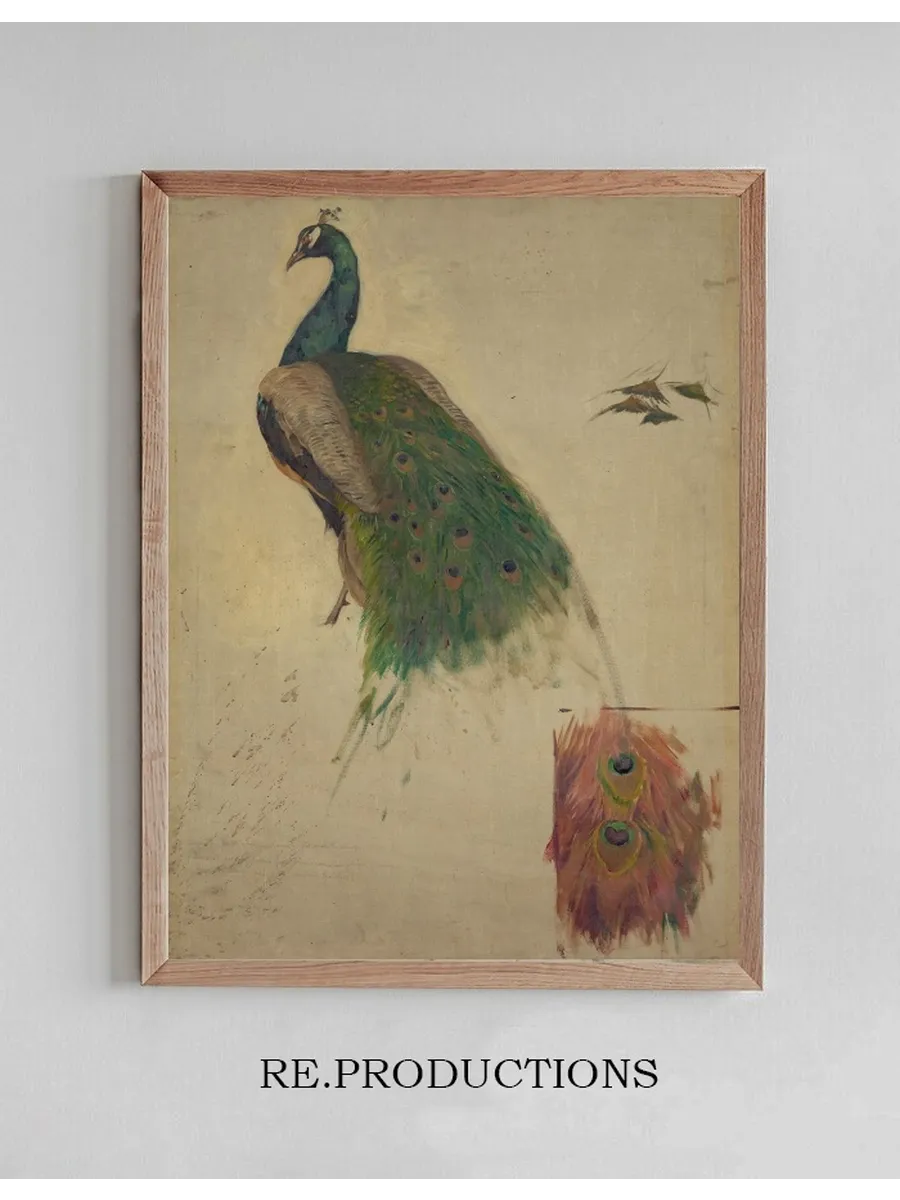 The Sciences, Study for Peacock in Tympanum