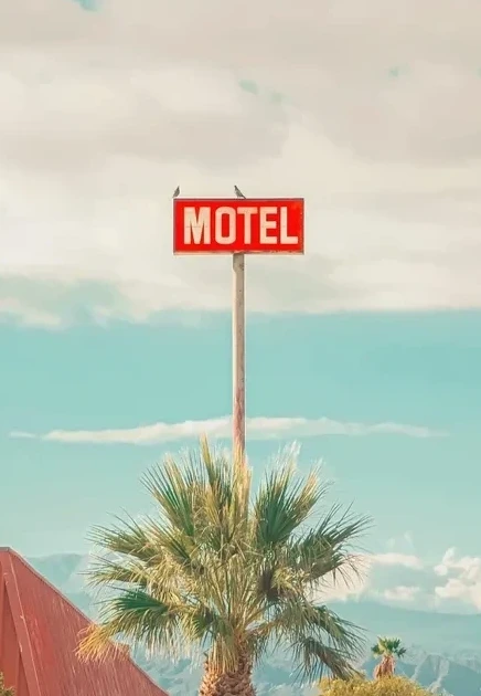 This Motel is for the Birds
