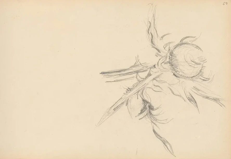 Thistle