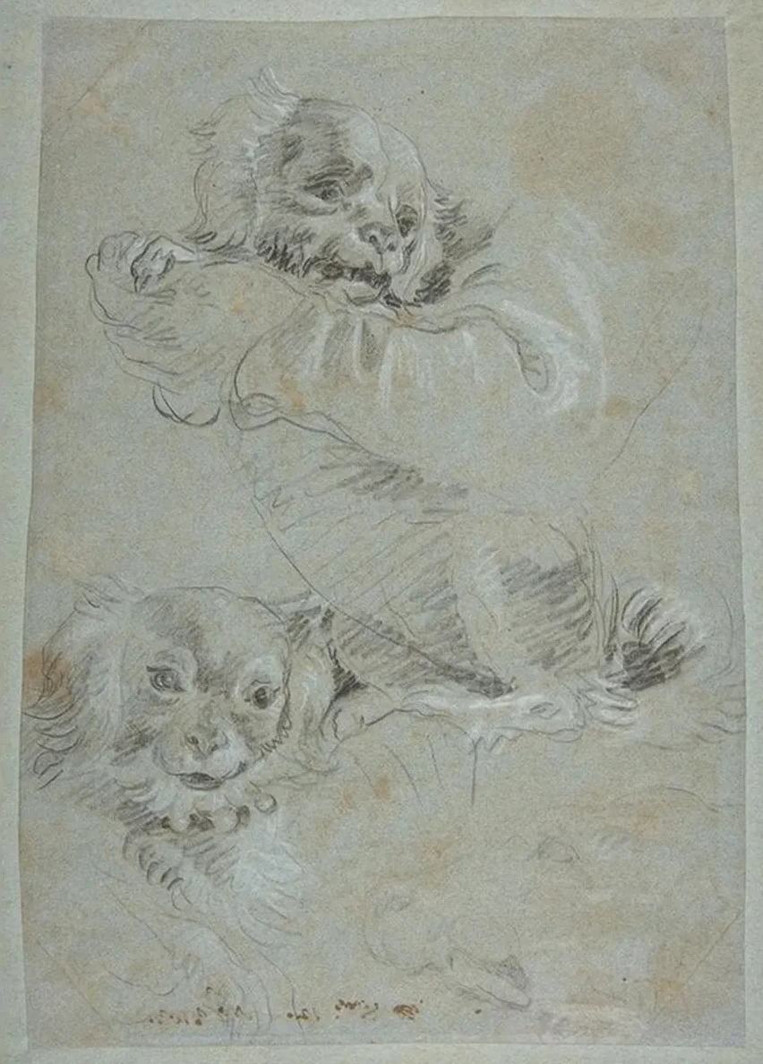 Three Dogs