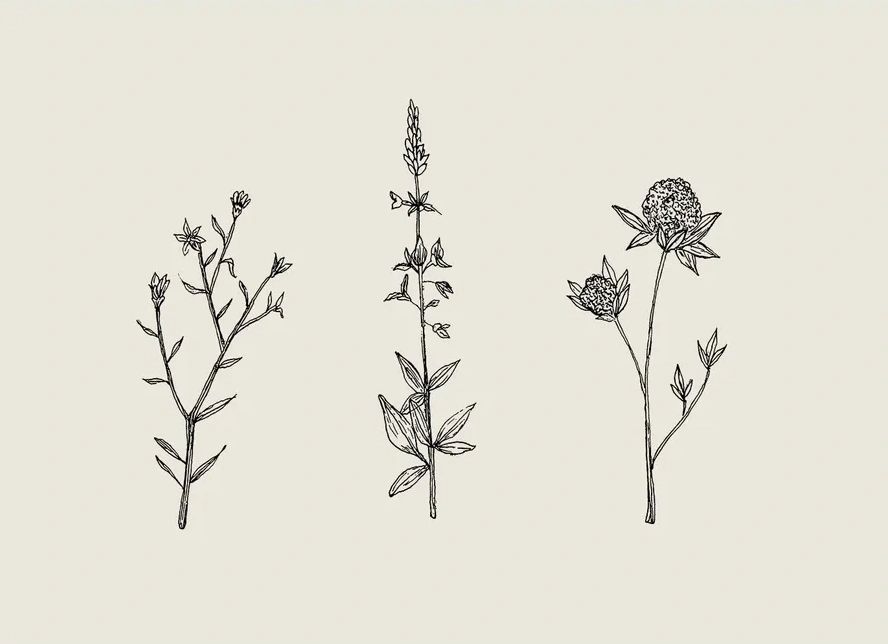 Three Friendly Bushels