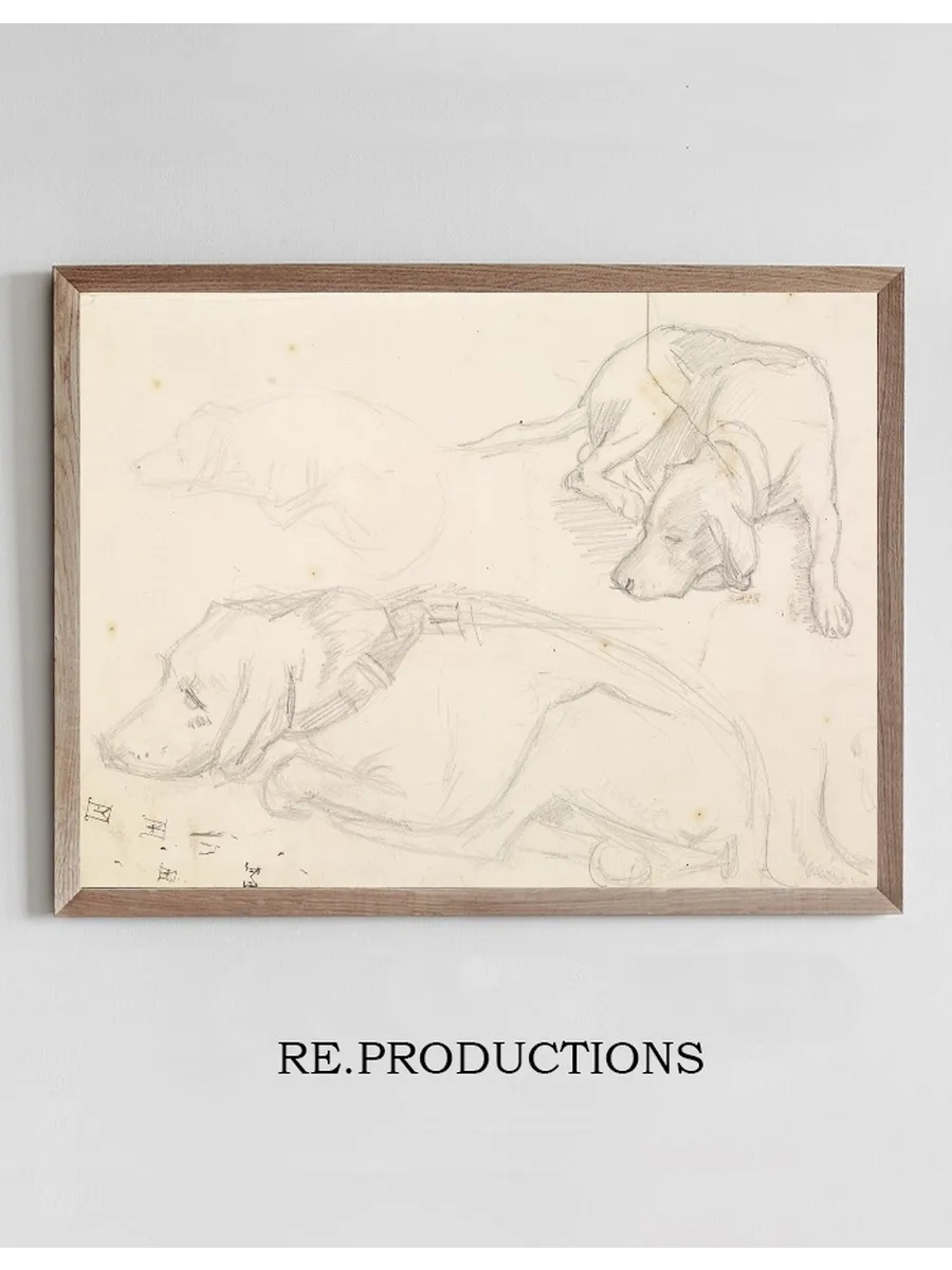 Three Studies of a Sleeping Dog