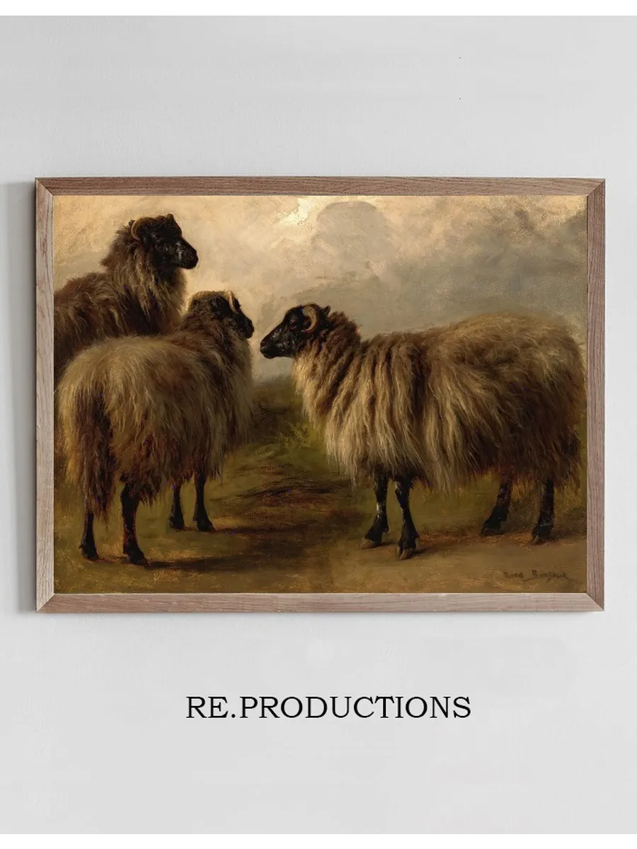 Three Wooly Sheep