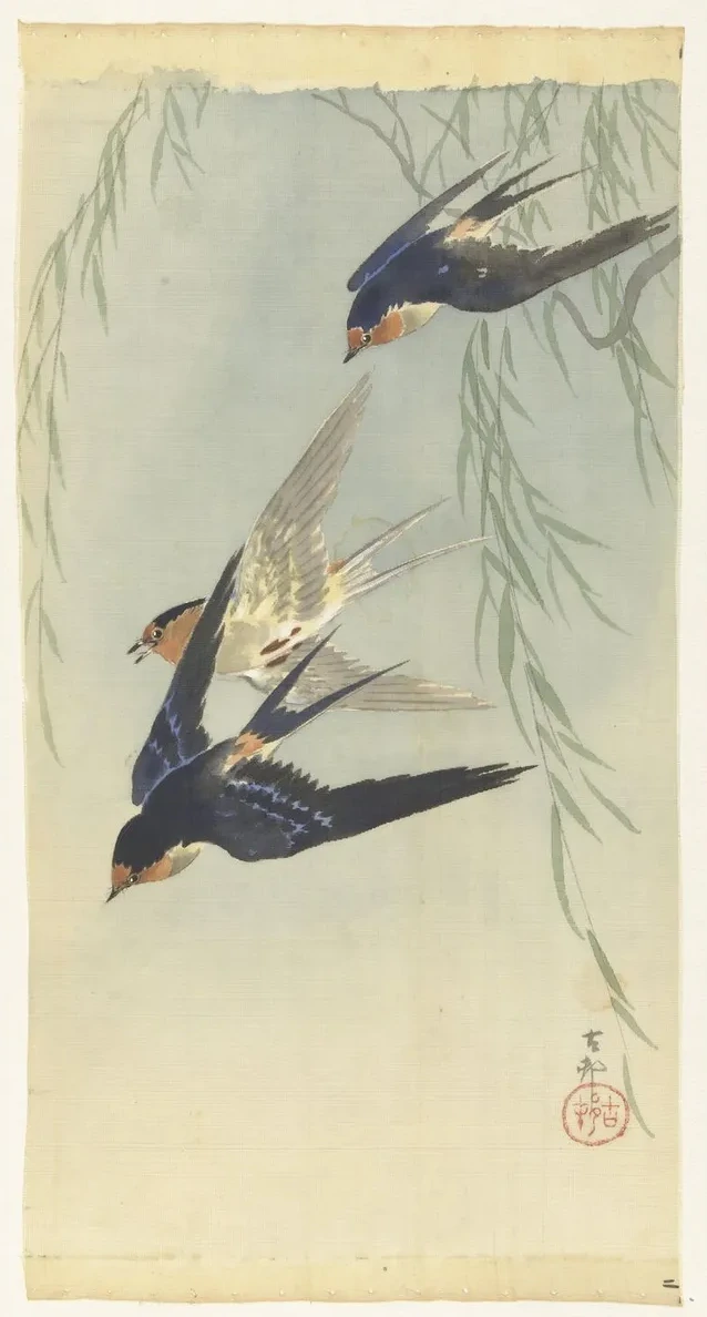 Three Birds in Full Flight