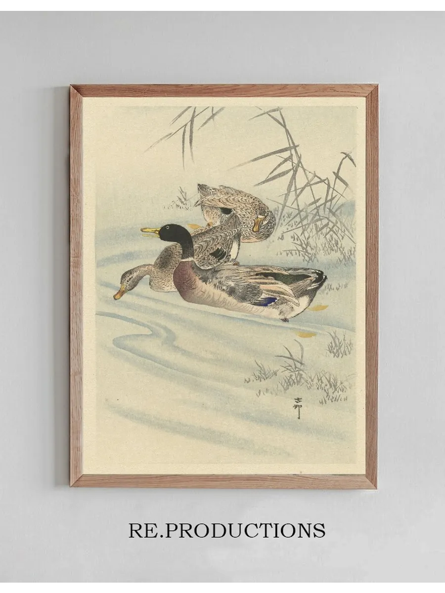 Three Ducks in Shallow Water with Reed