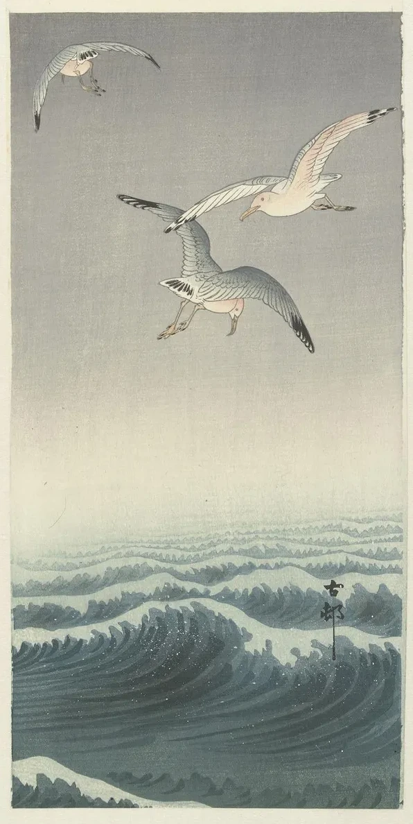 Three Gulls