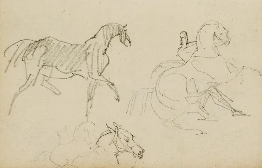 Three Horse Studies
